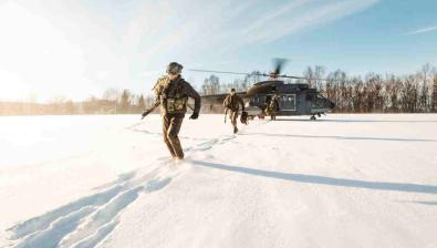 Operation Joint Viking